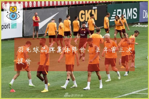 羽毛球品牌集体降价，去年曾三次提价