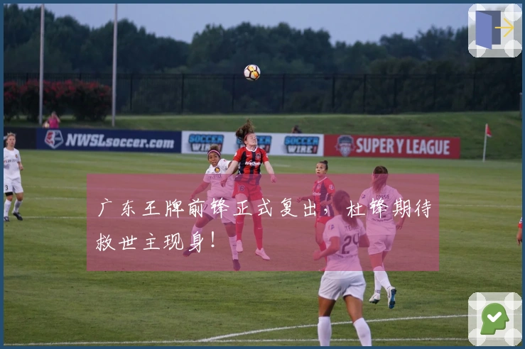 广东王牌前锋正式复出，杜锋期待救世主现身！