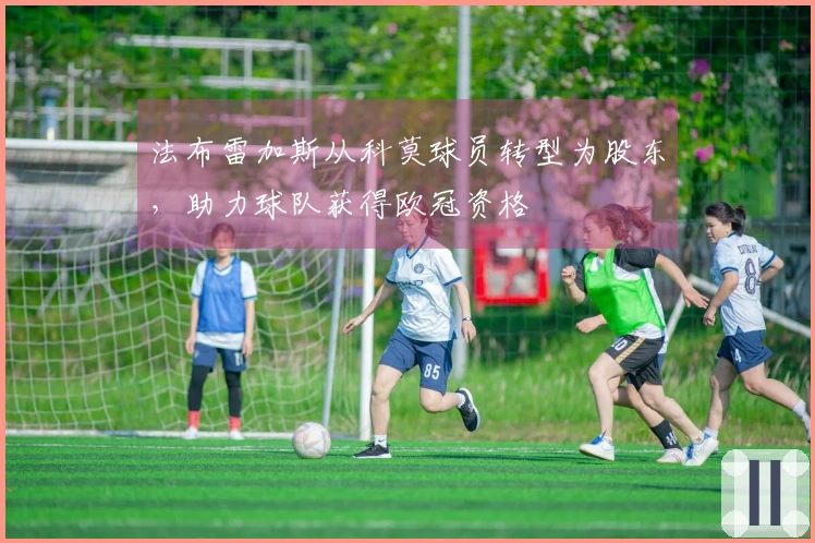 法布雷加斯从科莫球员转型为股东，助力球队获得欧冠资格