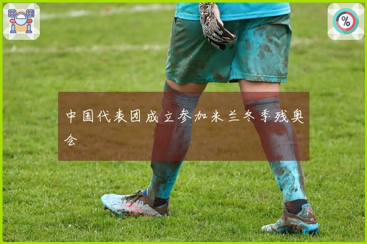 中国代表团成立参加米兰冬季残奥会
