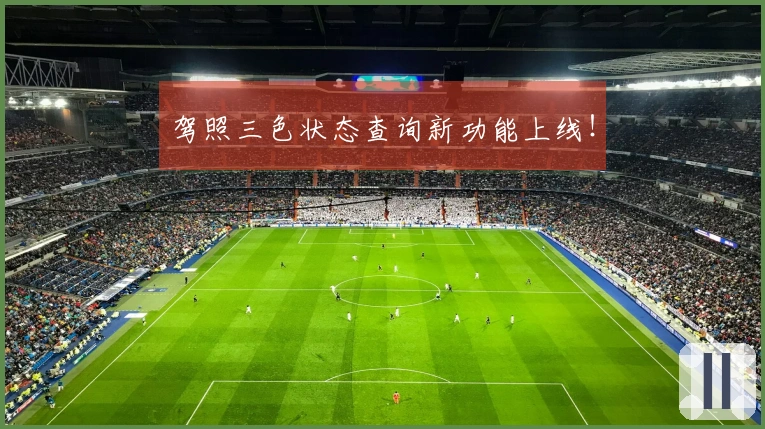 驾照三色状态查询新功能上线！