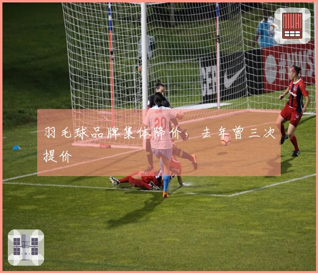 羽毛球品牌集体降价，去年曾三次提价