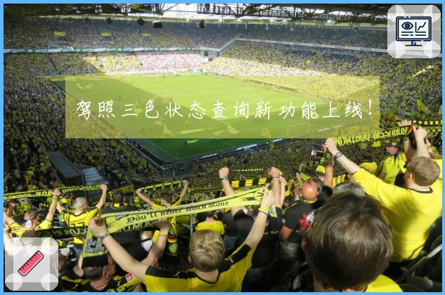 驾照三色状态查询新功能上线！